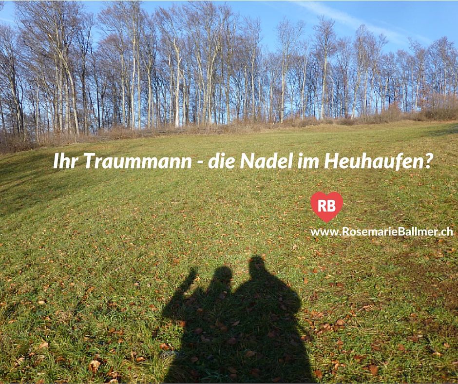 Ihr Traummann – die Nadel im Heuhaufen?